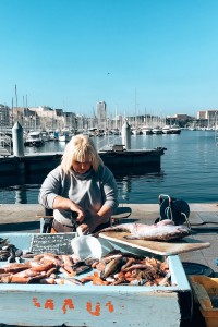 La criée : le marché aux poissons du Vieux-Port