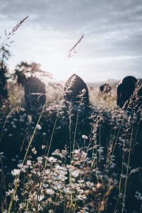 L'histoire de l'ancien cimetière de Bonneveine à Marseille