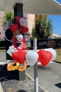 Mariage au drive : un couple se marie au McDonald's !